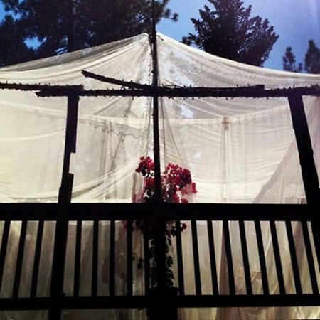 The Red Rooster Lodge Coulterville Bagian luar foto