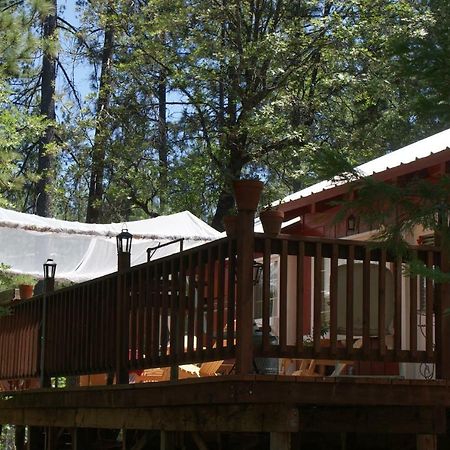 The Red Rooster Lodge Coulterville Bagian luar foto