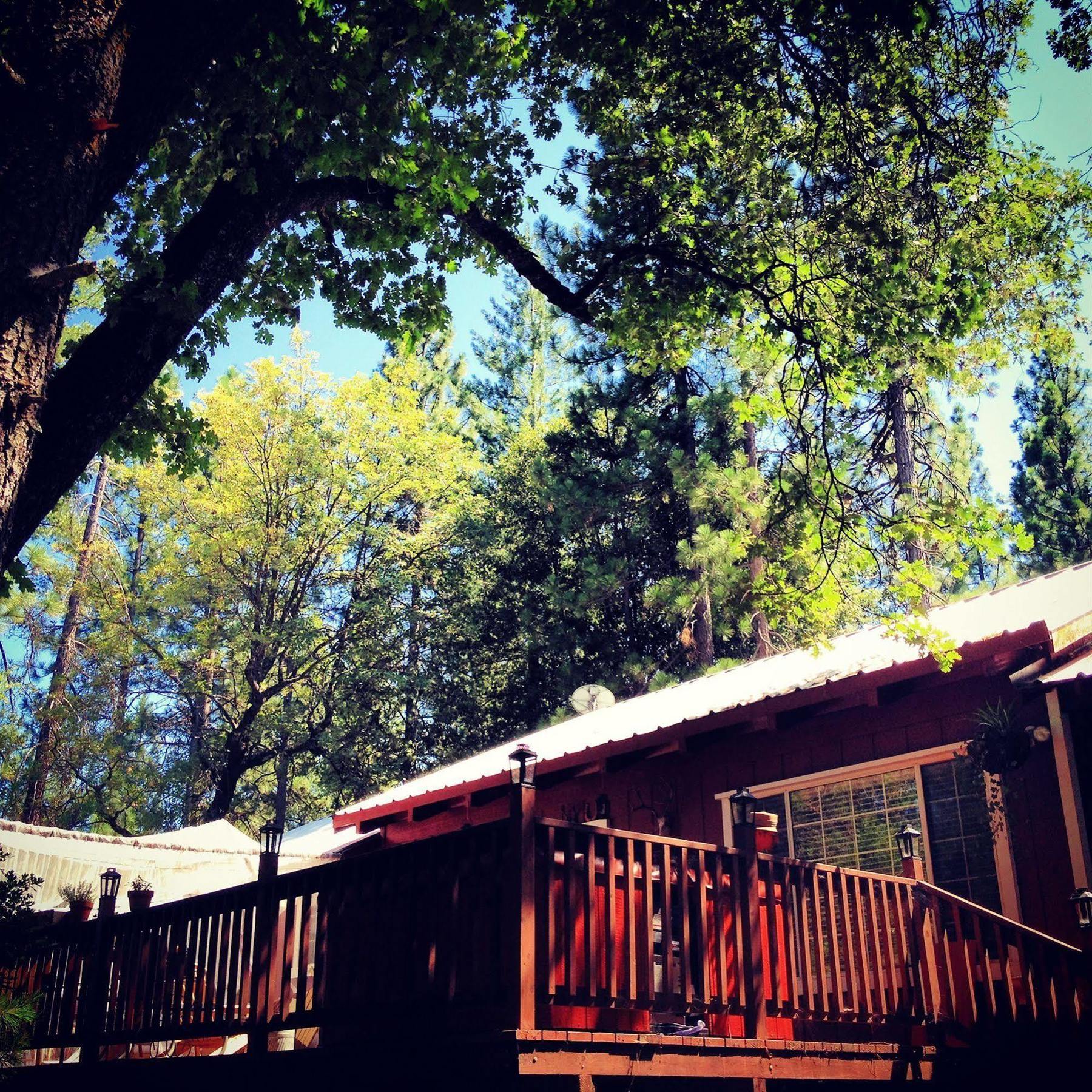 The Red Rooster Lodge Coulterville Bagian luar foto