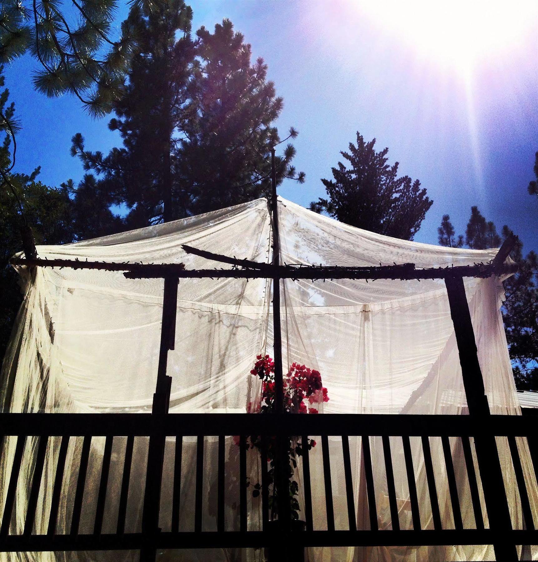 The Red Rooster Lodge Coulterville Bagian luar foto