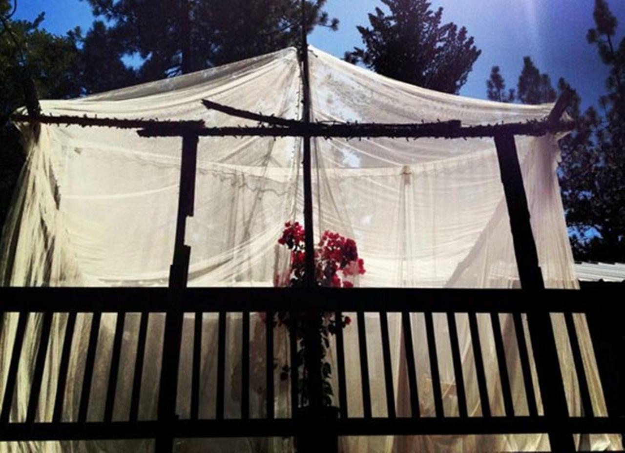 The Red Rooster Lodge Coulterville Bagian luar foto