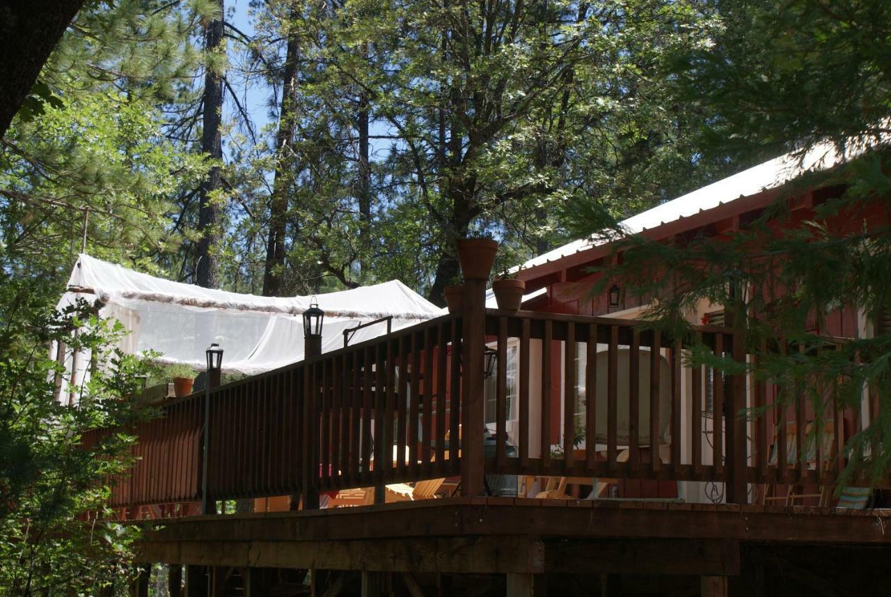 The Red Rooster Lodge Coulterville Bagian luar foto